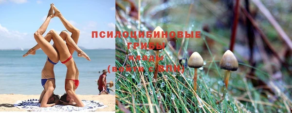 гашик Михайловск