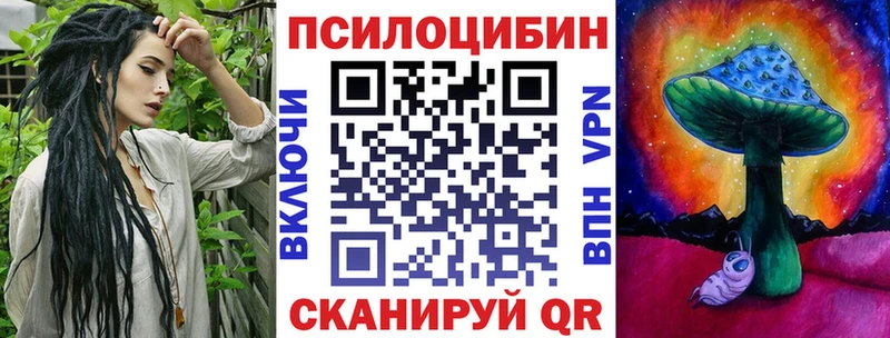 цены гидра ссылки Псилоцибиновые грибы Psilocybe Томари